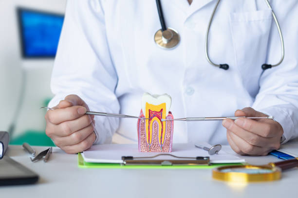 Best Emergency Orthodontic Repairs in Allardt, TN